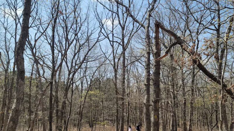 Bethpage State Park Staging Area Long Island - Old Bethpage, NY