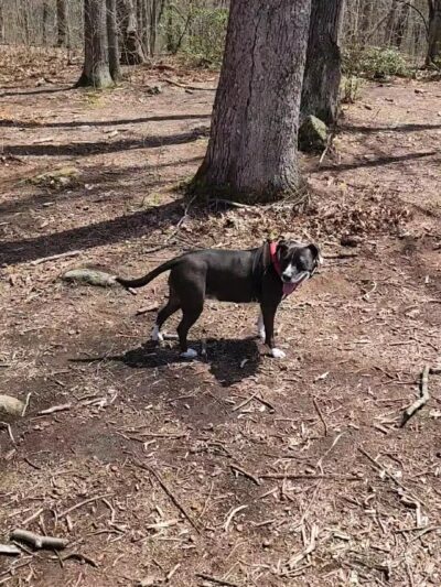 Clark Community Park/Town Park - Old Saybrook, CT