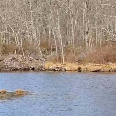 Clark Community Park/Town Park - Old Saybrook, CT
