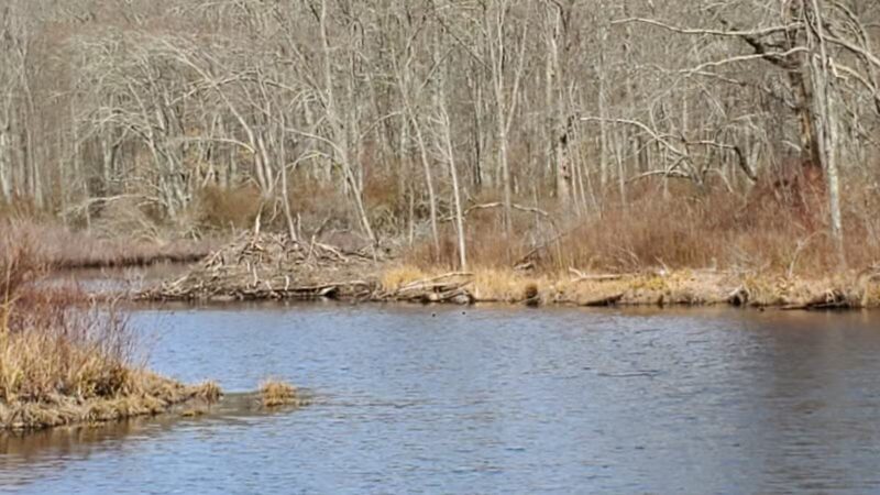 Clark Community Park/Town Park - Old Saybrook, CT