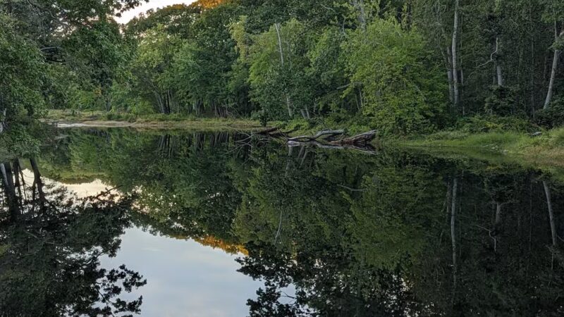 Clark Community Park/Town Park - Old Saybrook, CT