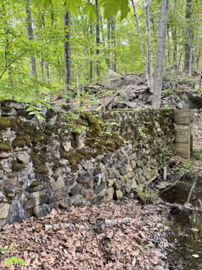 The Preserve - Old Saybrook, CT