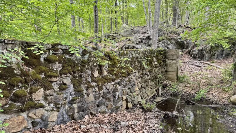 The Preserve - Old Saybrook, CT