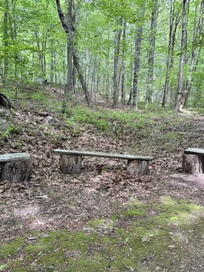 The Preserve - Old Saybrook, CT