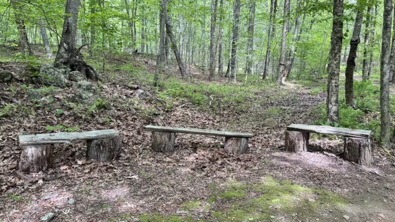 The Preserve - Old Saybrook, CT