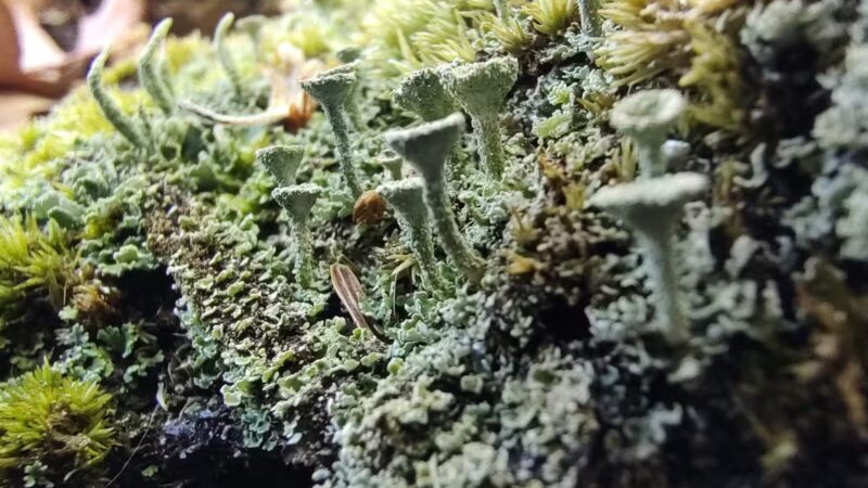 The Preserve - Old Saybrook, CT