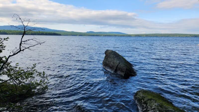 Stephen Phillips Memorial Preserve Wilderness Camping (Main Gate) - Oquossoc, ME
