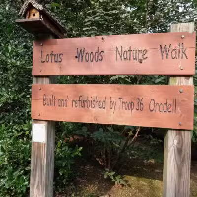 Lotus Woods Nature Walk - Oradell, NJ