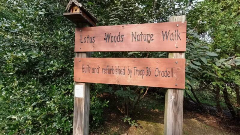 Lotus Woods Nature Walk - Oradell, NJ