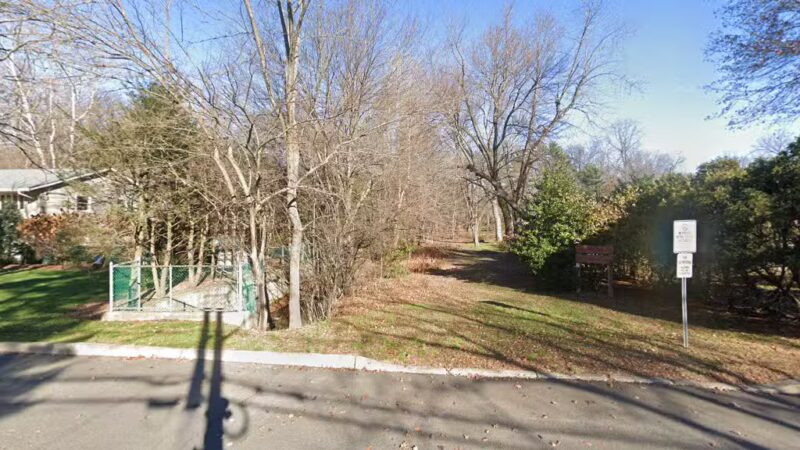 Lotus Woods Nature Walk - Oradell, NJ