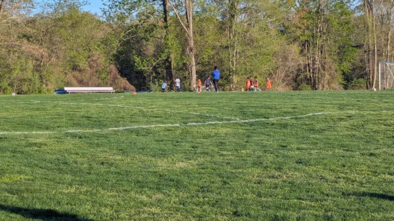 Fred Wolfe Park - Orange, CT