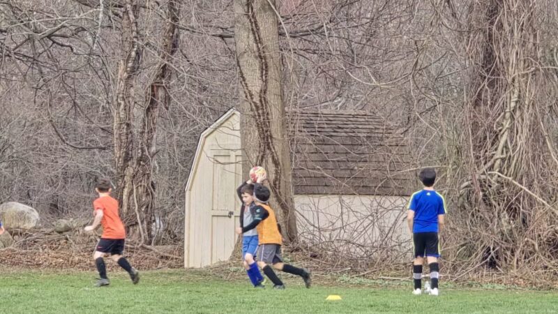 Fred Wolfe Park - Orange, CT