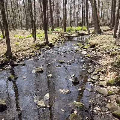 Racebrook Tract - Orange, CT