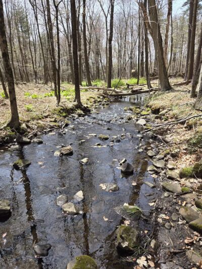 Racebrook Tract - Orange, CT
