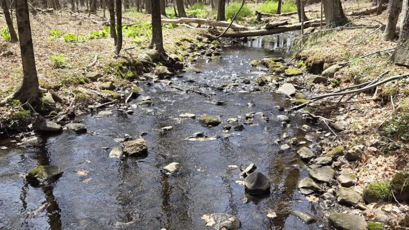 Racebrook Tract - Orange, CT