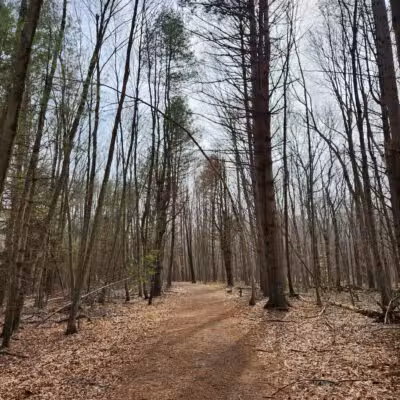 Racebrook Tract - Orange, CT