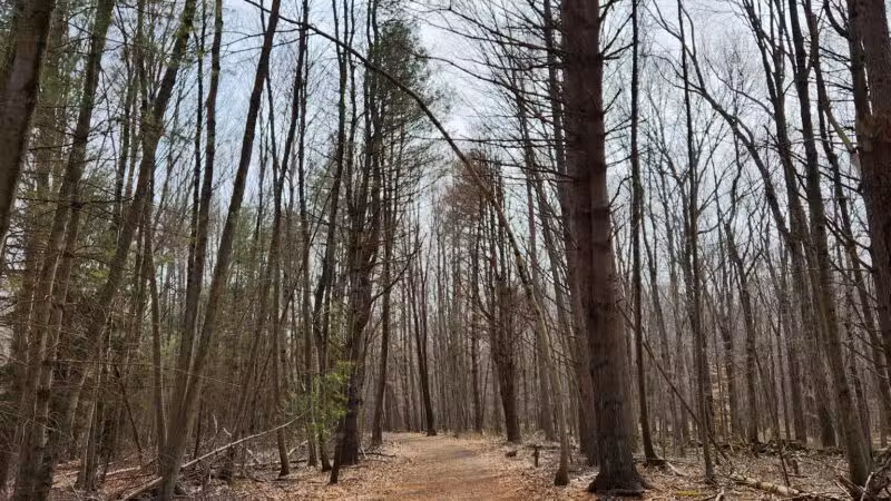 Racebrook Tract - Orange, CT