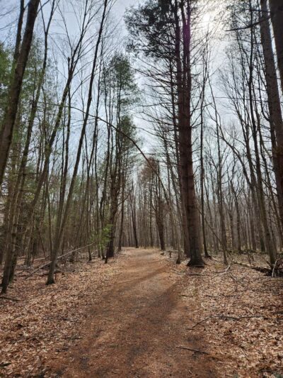 Racebrook Tract - Orange, CT