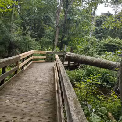 Racebrook Tract - Orange, CT