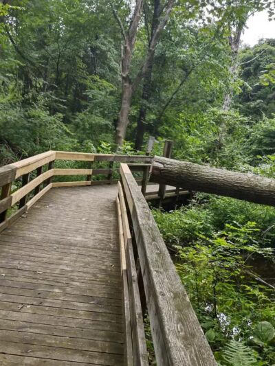Racebrook Tract - Orange, CT