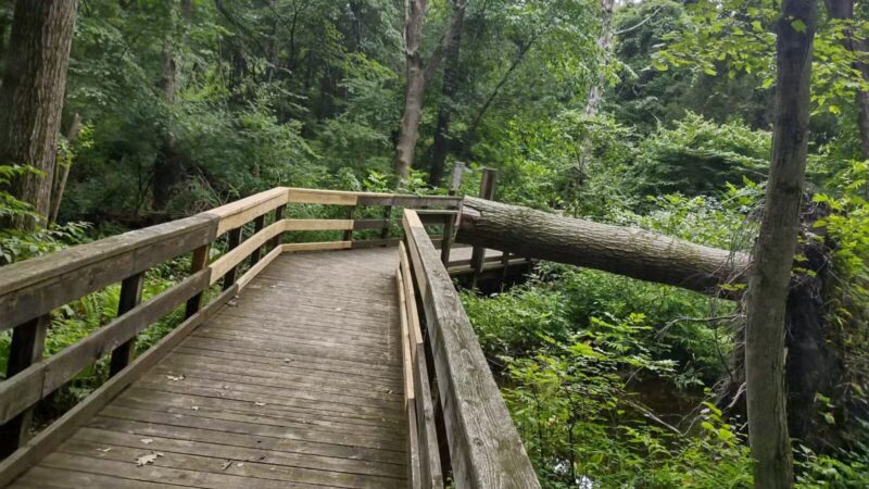 Racebrook Tract - Orange, CT