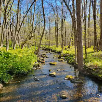 Racebrook Tract - Orange, CT