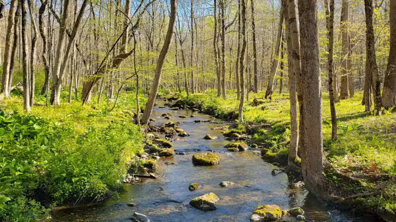 Racebrook Tract - Orange, CT