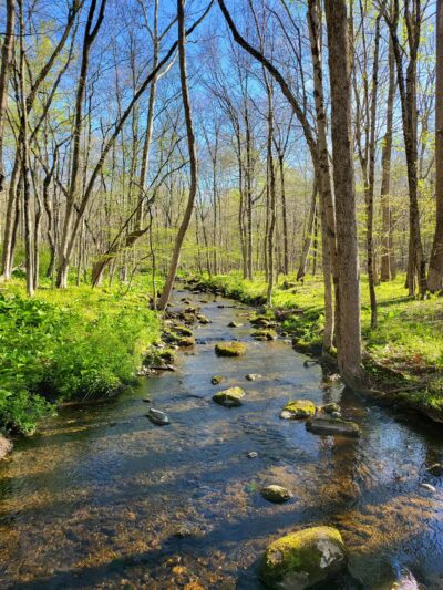 Racebrook Tract - Orange, CT