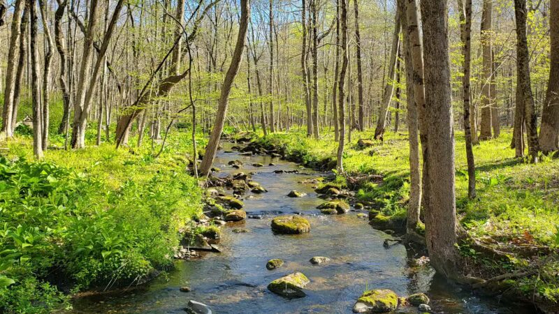 Racebrook Tract - Orange, CT