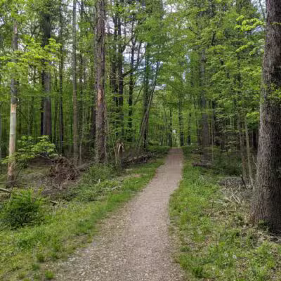 Racebrook Tract - Orange, CT