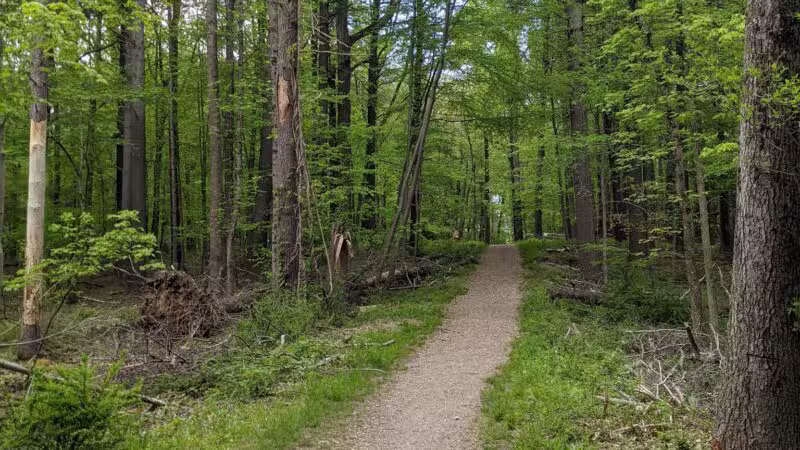 Racebrook Tract - Orange, CT