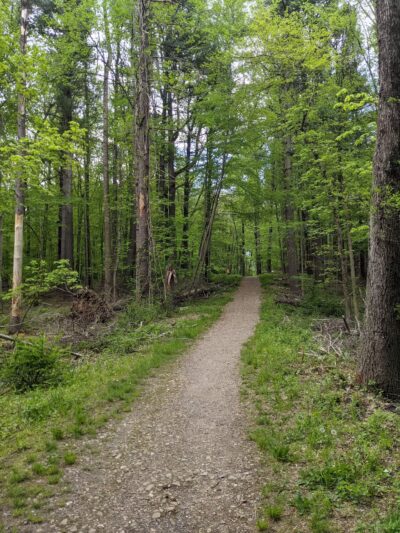 Racebrook Tract - Orange, CT