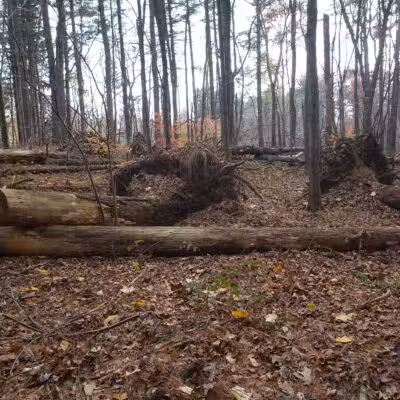 Racebrook Tract - Orange, CT