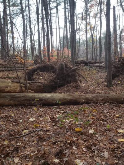 Racebrook Tract - Orange, CT