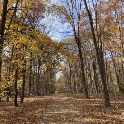 Racebrook Tract - Orange, CT
