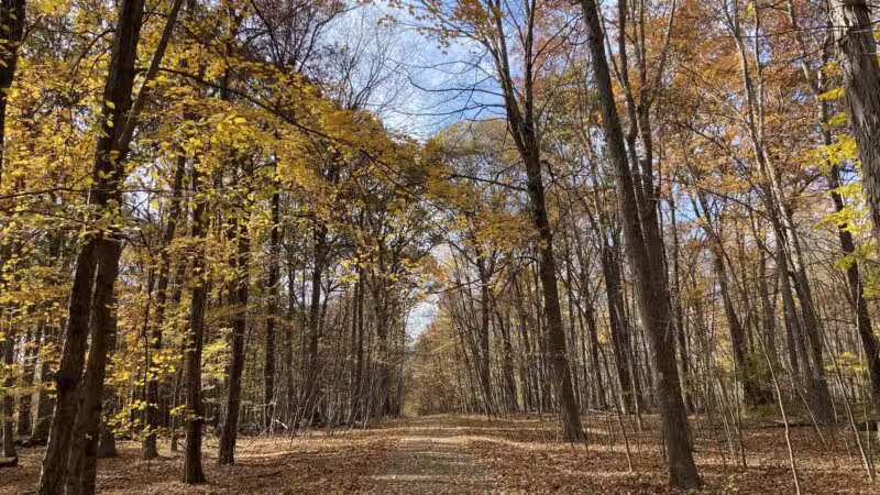 Racebrook Tract - Orange, CT