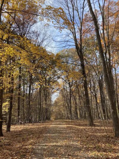 Racebrook Tract - Orange, CT
