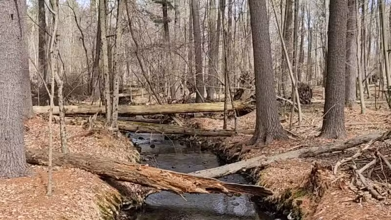 Racebrook Tract - Orange, CT