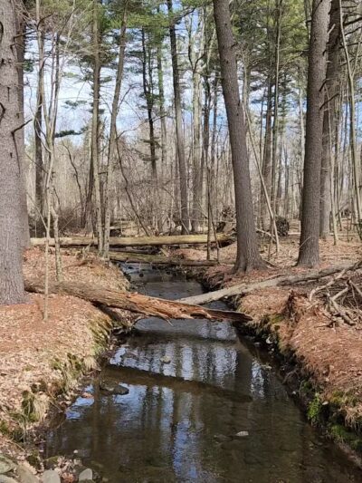 Racebrook Tract - Orange, CT