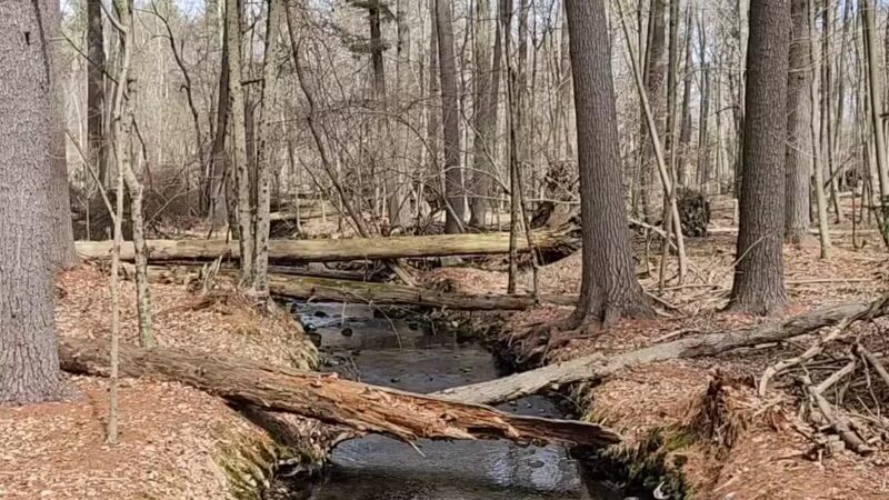 Racebrook Tract - Orange, CT