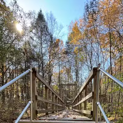 Wepawaug Trails - Orange, CT