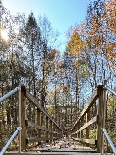 Wepawaug Trails - Orange, CT