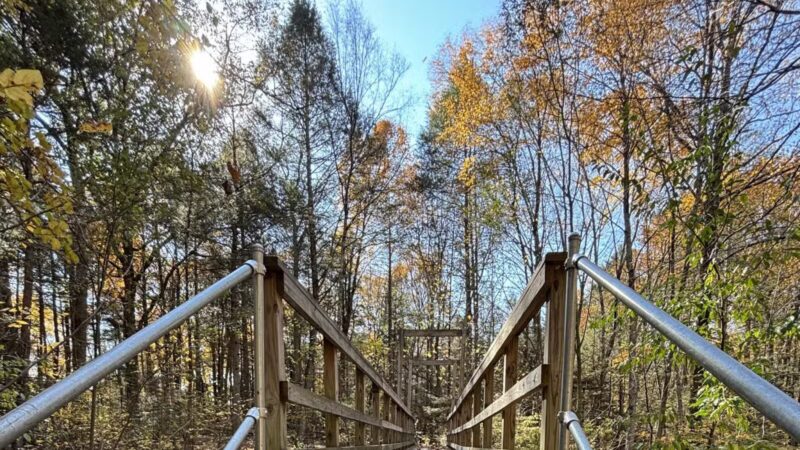 Wepawaug Trails - Orange, CT