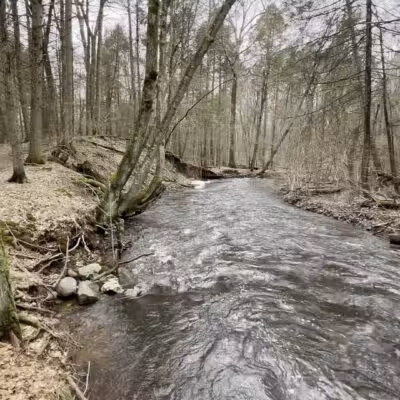 Wepawaug Trails - Orange, CT