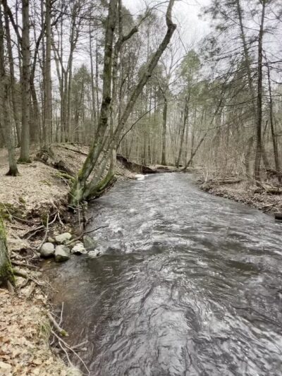 Wepawaug Trails - Orange, CT