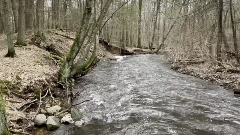 Wepawaug Trails - Orange, CT