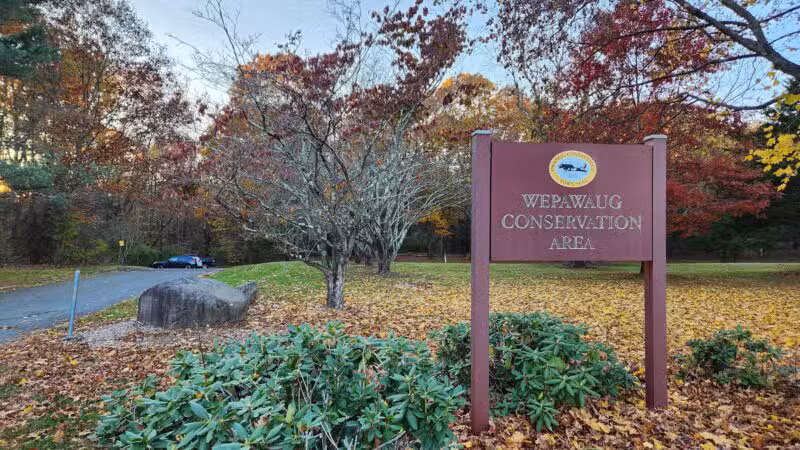 Wepawaug Trails - Orange, CT