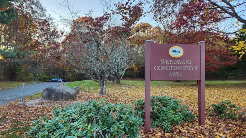 Wepawaug Trails - Orange, CT