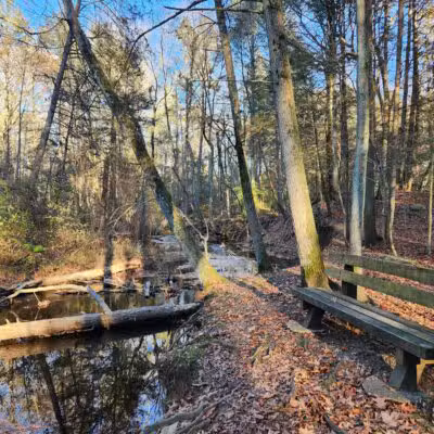 Wepawaug Trails - Orange, CT