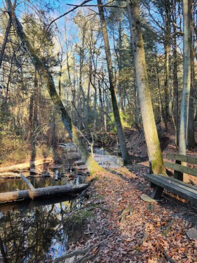 Wepawaug Trails - Orange, CT